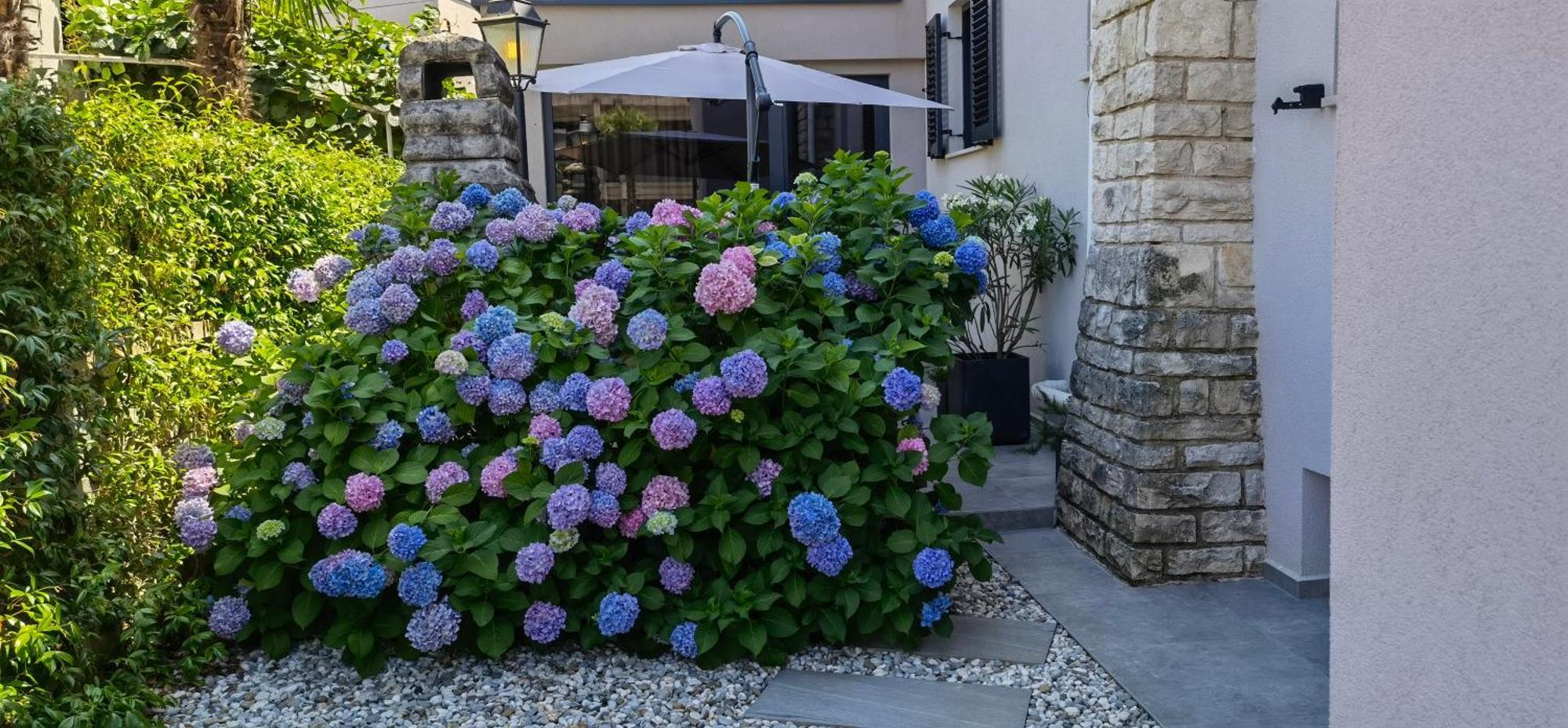 Stay In The Very Heart Of Porec - 50M To The Beach Bagian luar foto